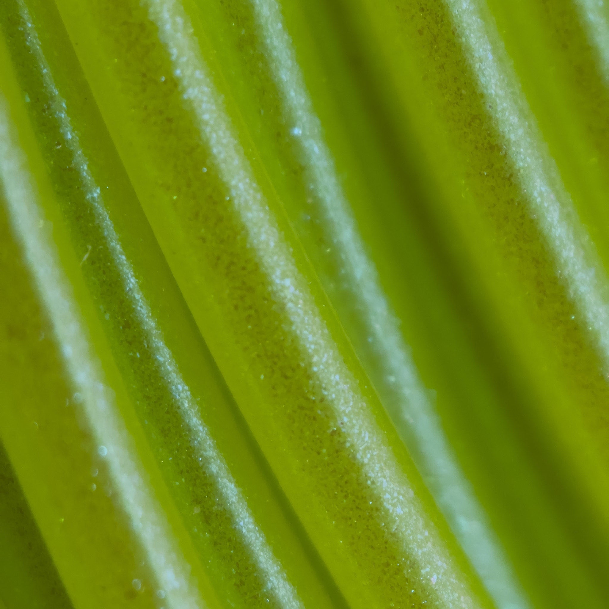 PETG Green Apple Elixir PETG Filament 1.75mm, 12 x 1kg